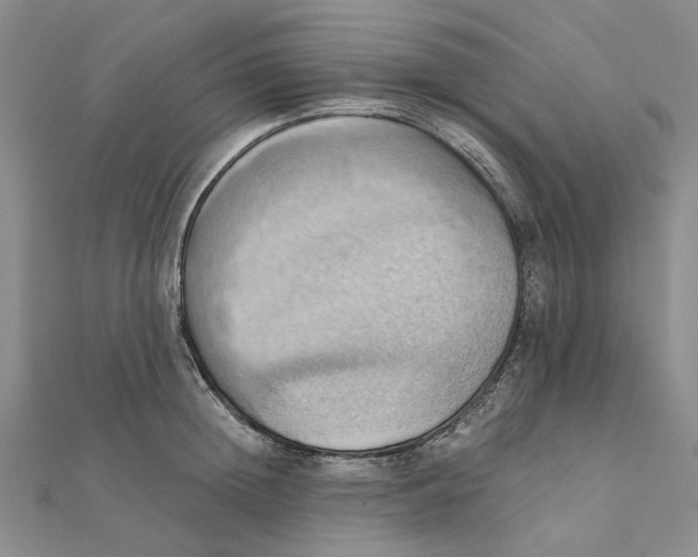 X0000111360852200908071152