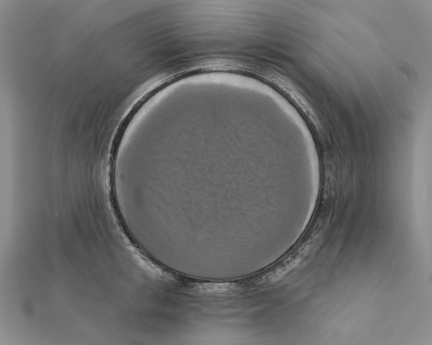 X0000111360853200908071152