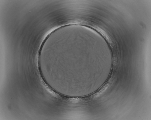 X0000111360854200908071152