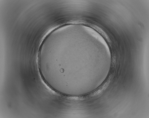 X0000111360855200908071152