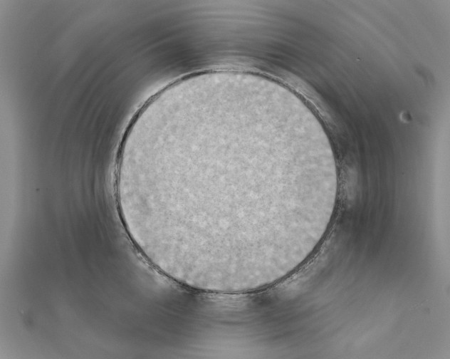 X0000111360856200908071152