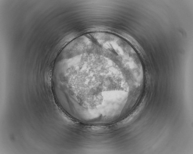 X0000111360857200908071152