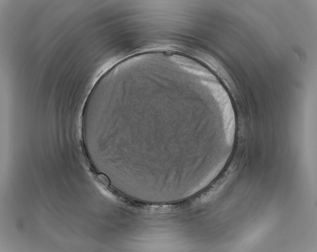 X0000111360858200908071152