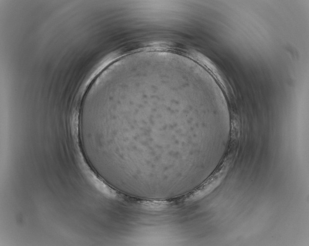 X0000111360859200908071152