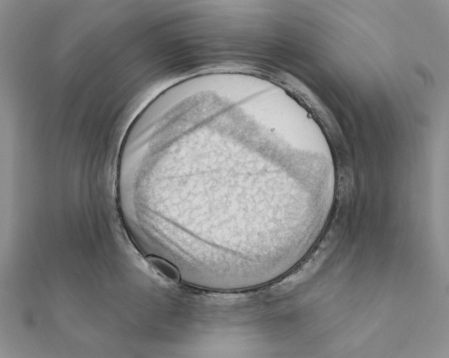 X0000111360860200908071152