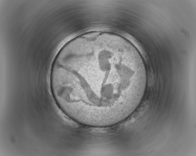 X0000111360861200908071152