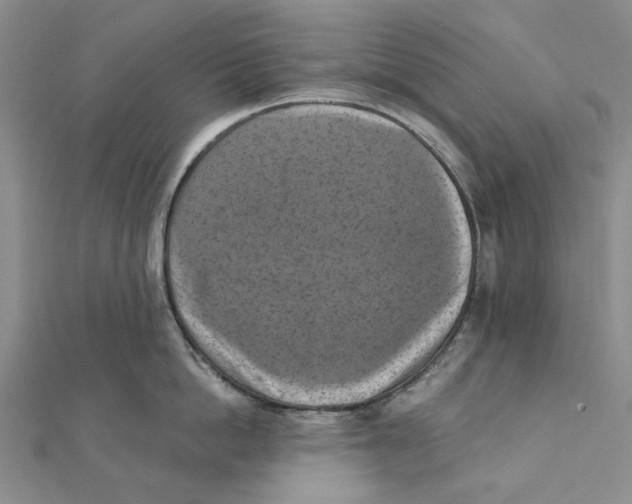 X0000111360862200908071152