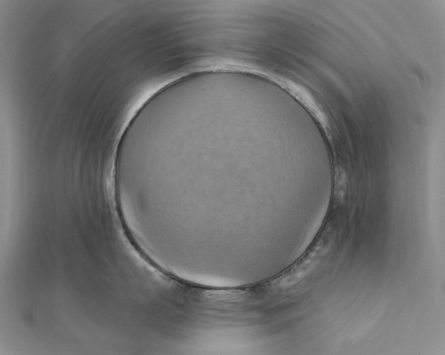 X0000111360863200908071152