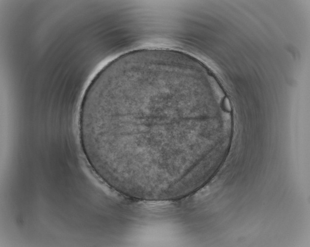 X0000111360864200908071152