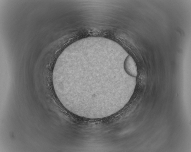 X0000111360865200908071151