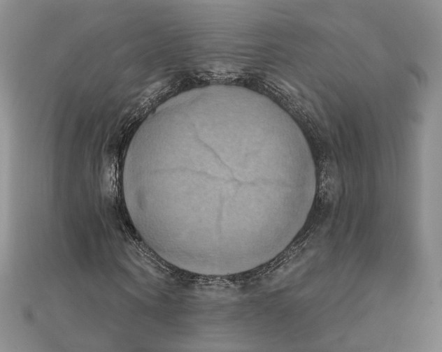 X0000111360866200908071151