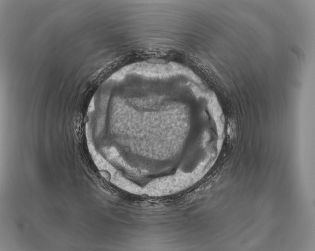 X0000111360867200908071151