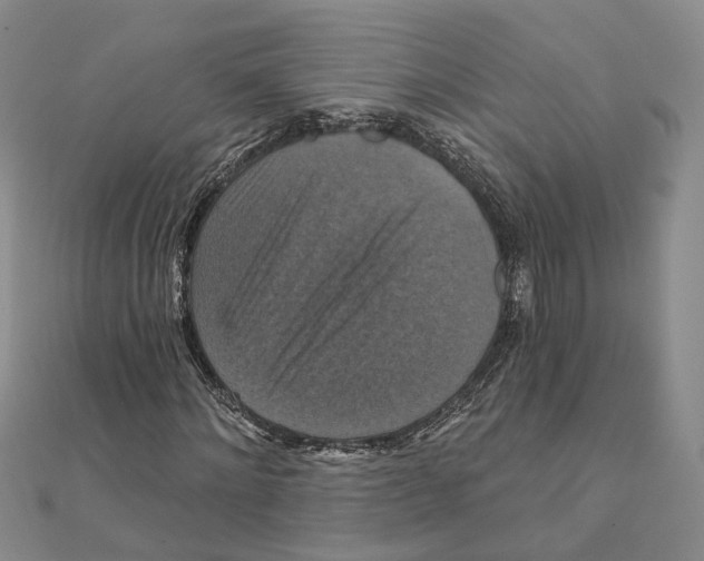 X0000111360868200908071151