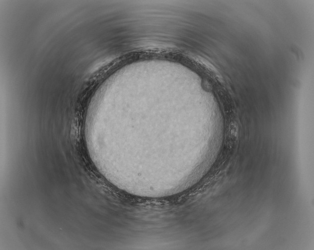 X0000111360869200908071151