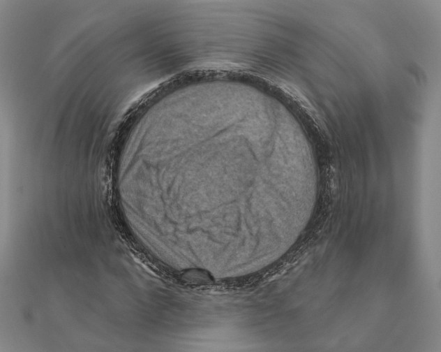 X0000111360872200908071151