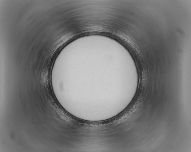 X0000111360873200908071151