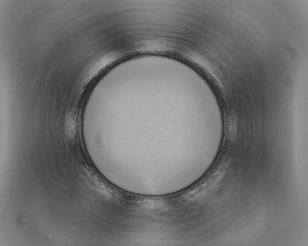 X0000111360874200908071151