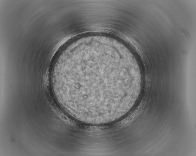 X0000111360875200908071151