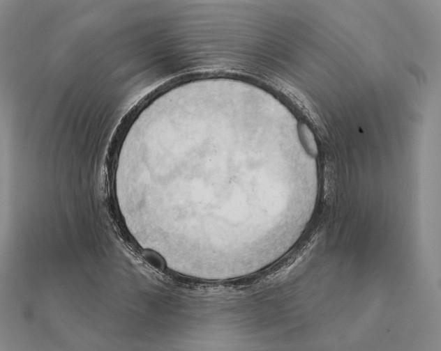 X0000111360876200908071151