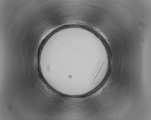 X0000111360877200908071151