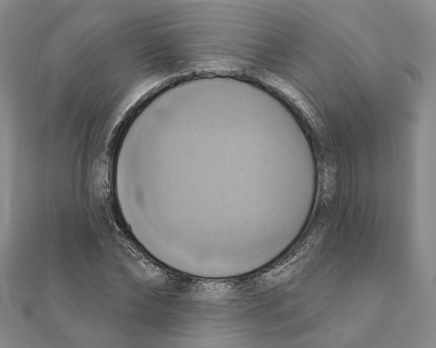 X0000111360878200908071151