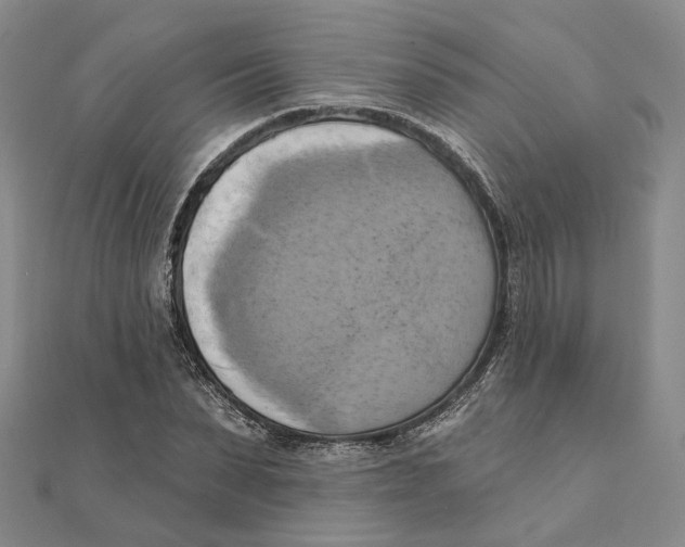 X0000111360879200908071151