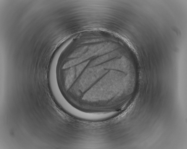 X0000111360881200908071151