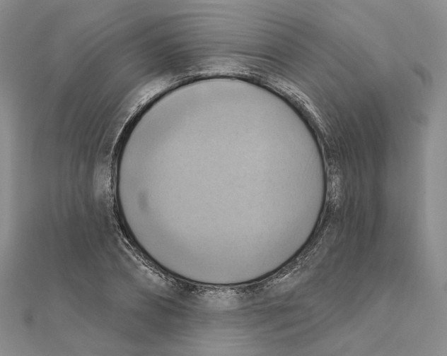 X0000111360882200908071151