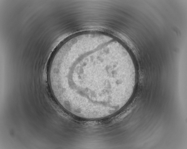 X0000111360883200908071151