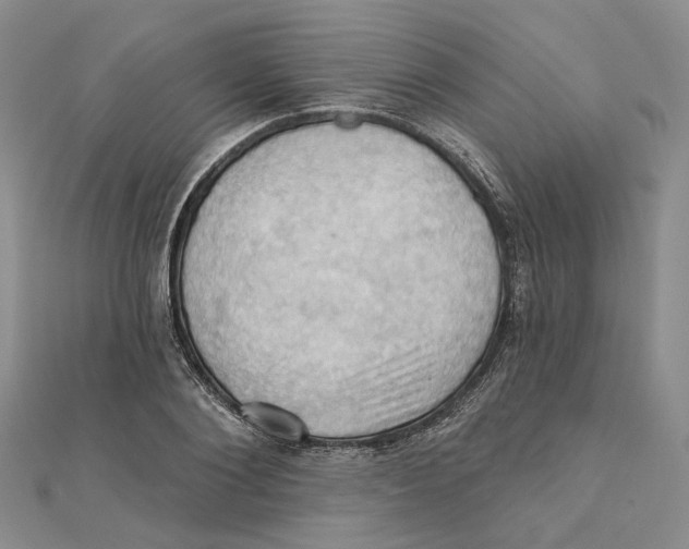 X0000111360884200908071151