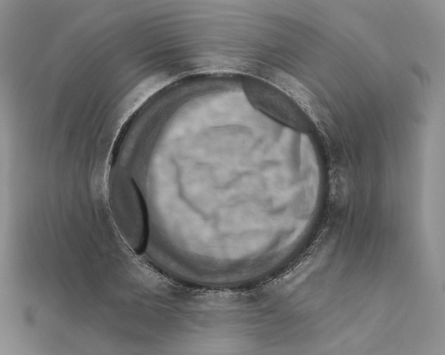 X0000111360885200908071151