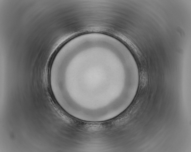 X0000111360886200908071151