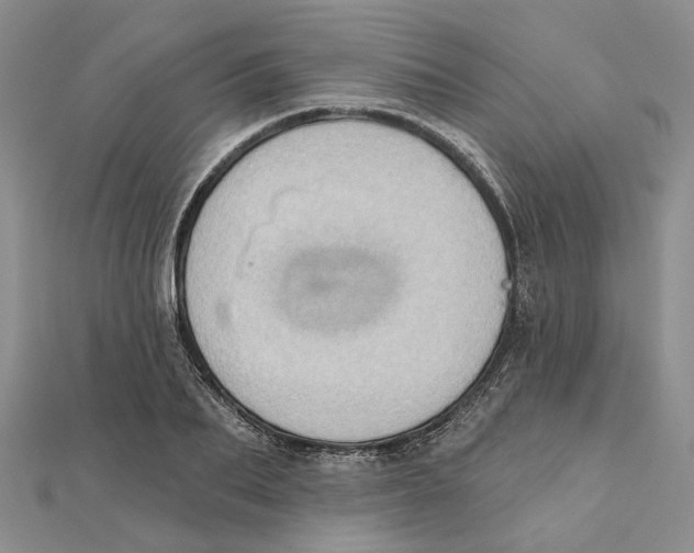 X0000111360887200908071151