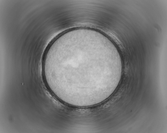 X0000111360888200908071151