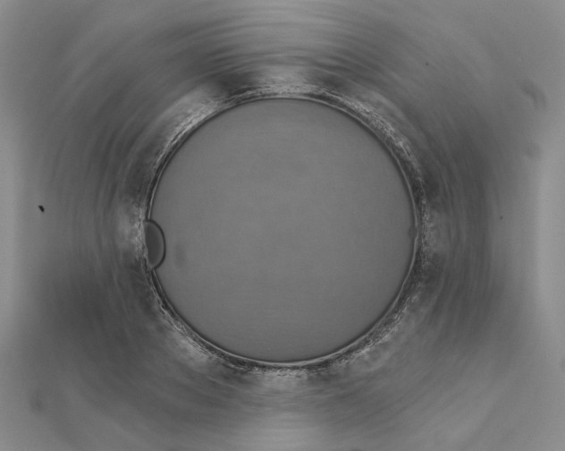 X0000111360889200908071151