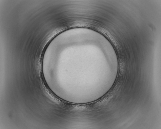 X0000111360890200908071151