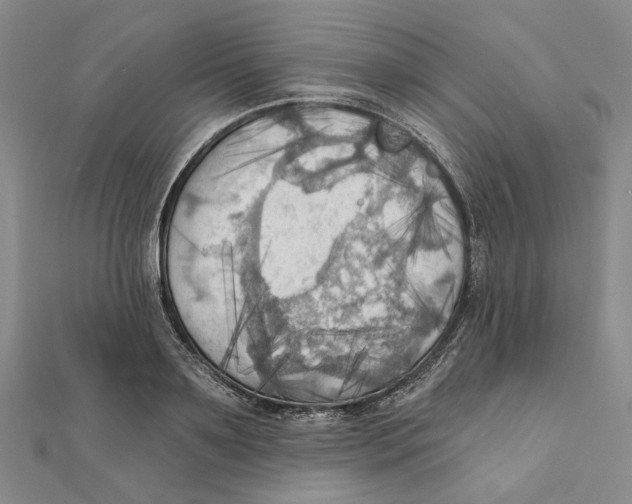 X0000111360891200908071151