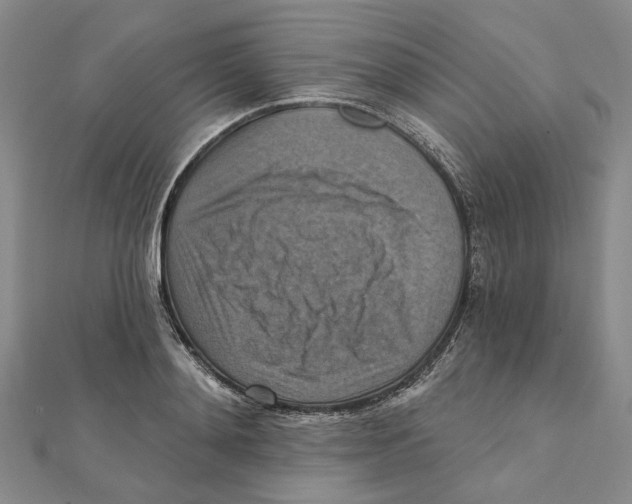 X0000111360892200908071151