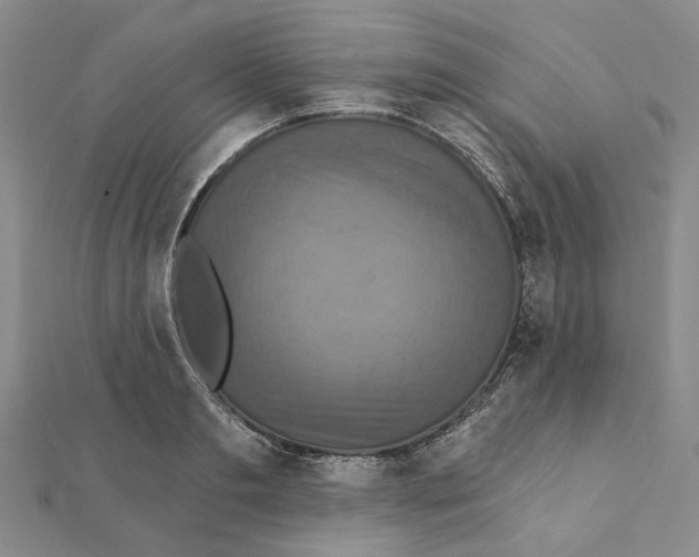 X0000111360893200908071151