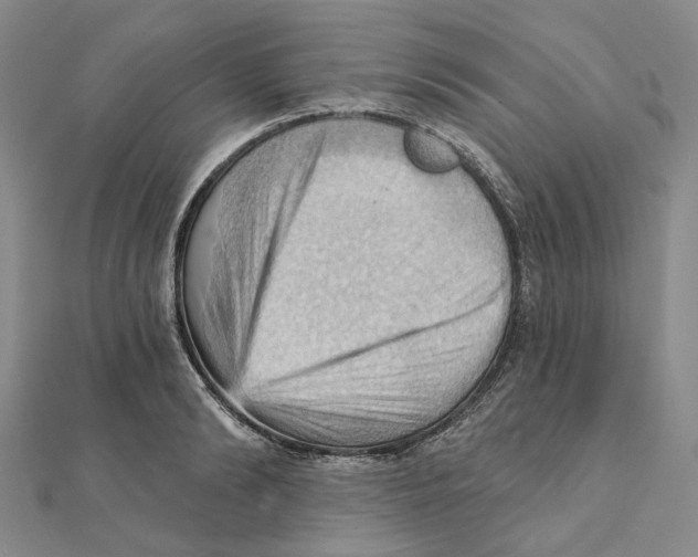 X0000111360894200908071151