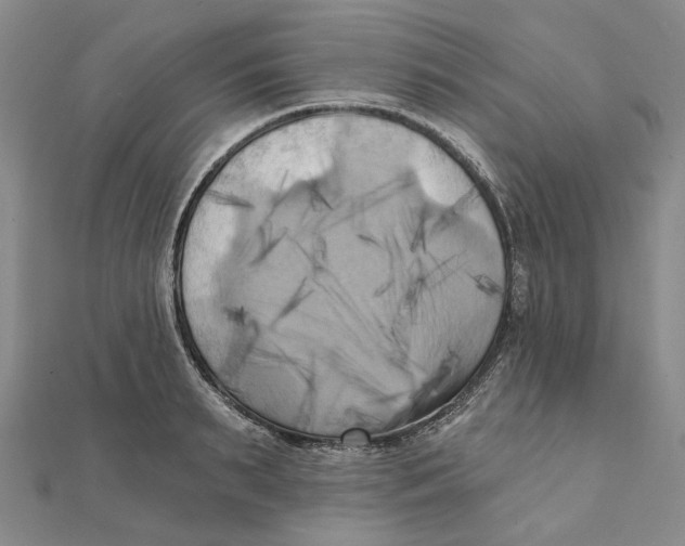 X0000111360895200908071151