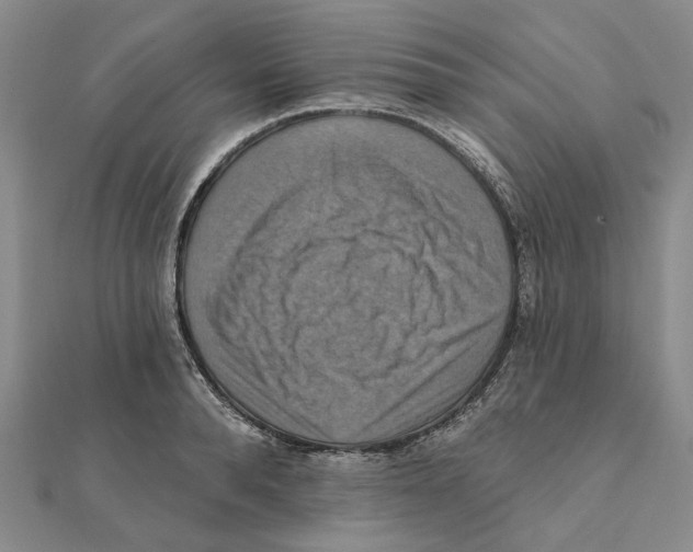 X0000111360896200908071151