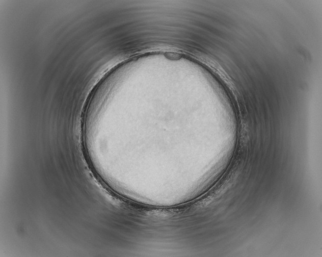 X0000111360898200908071151