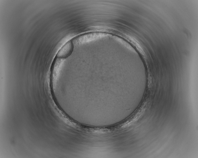 X0000111360899200908071151