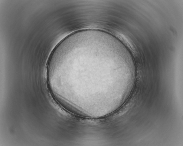 X0000111360900200908071151