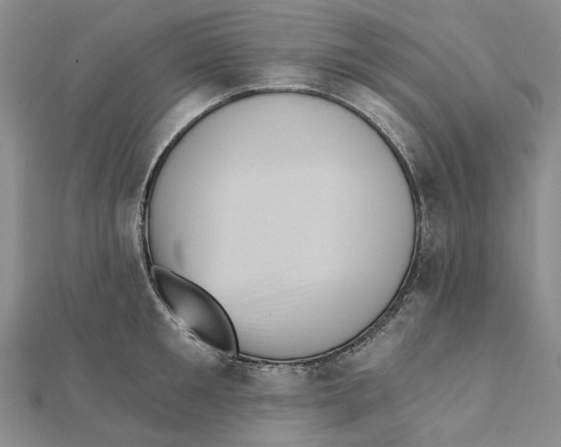 X0000111360901200908071151