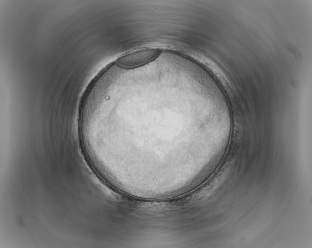 X0000111360902200908071151