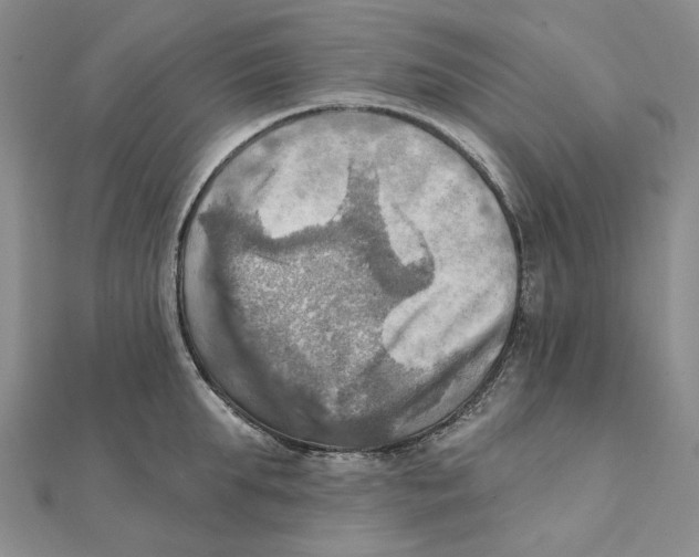 X0000111360903200908071151