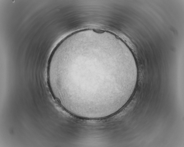 X0000111360904200908071151