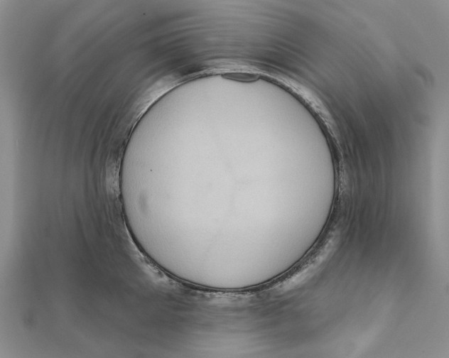 X0000111360905200908071151